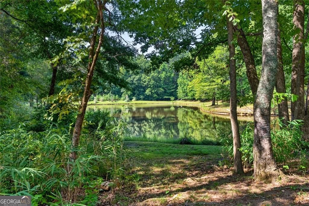 961 Birdie Road Griffin - Photo 74
