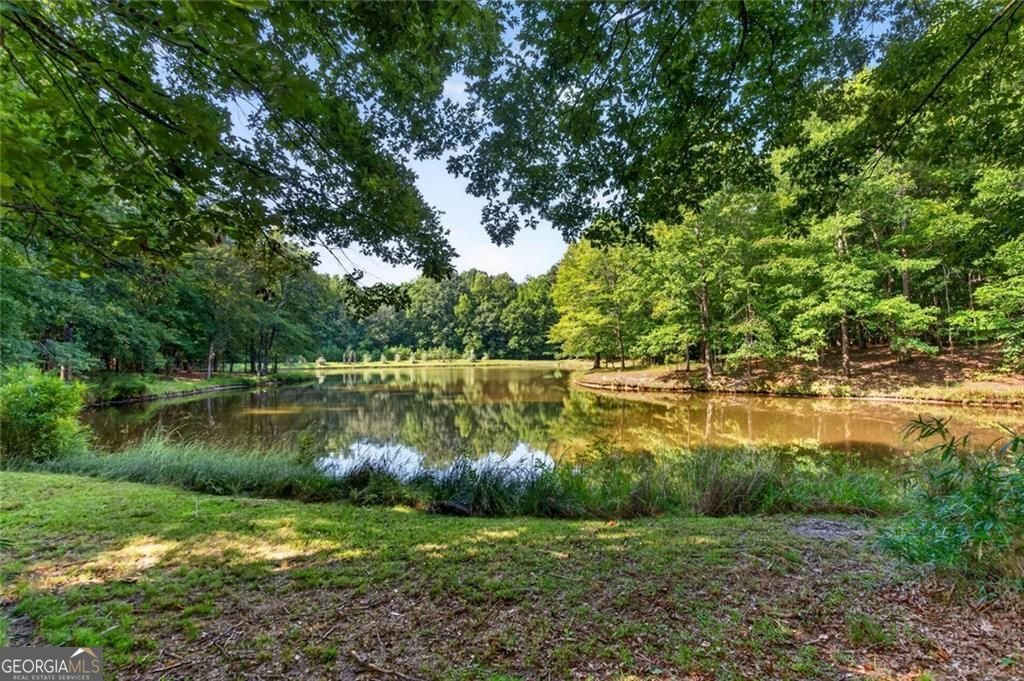 961 Birdie Road Griffin - Photo 78
