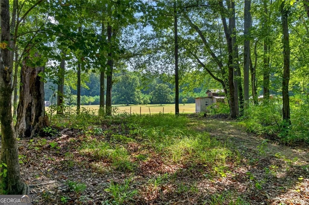 961 Birdie Road Griffin - Photo 82