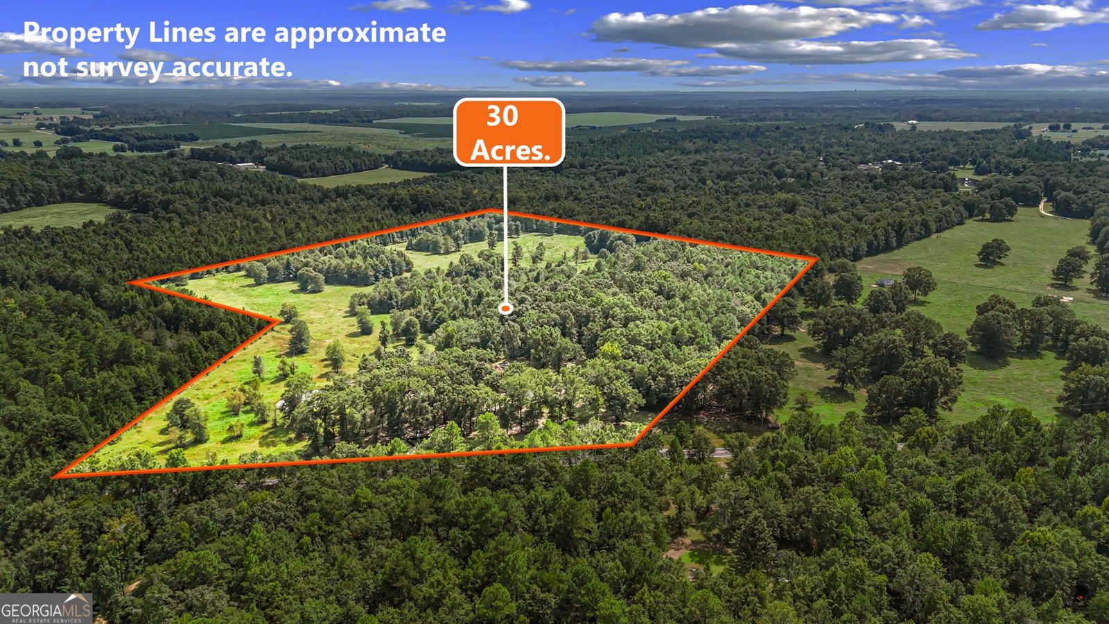 1010 Frank Cook Road Cochran - Photo 68