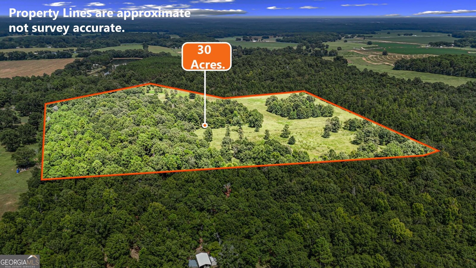 1010 Frank Cook Road Cochran - Photo 69