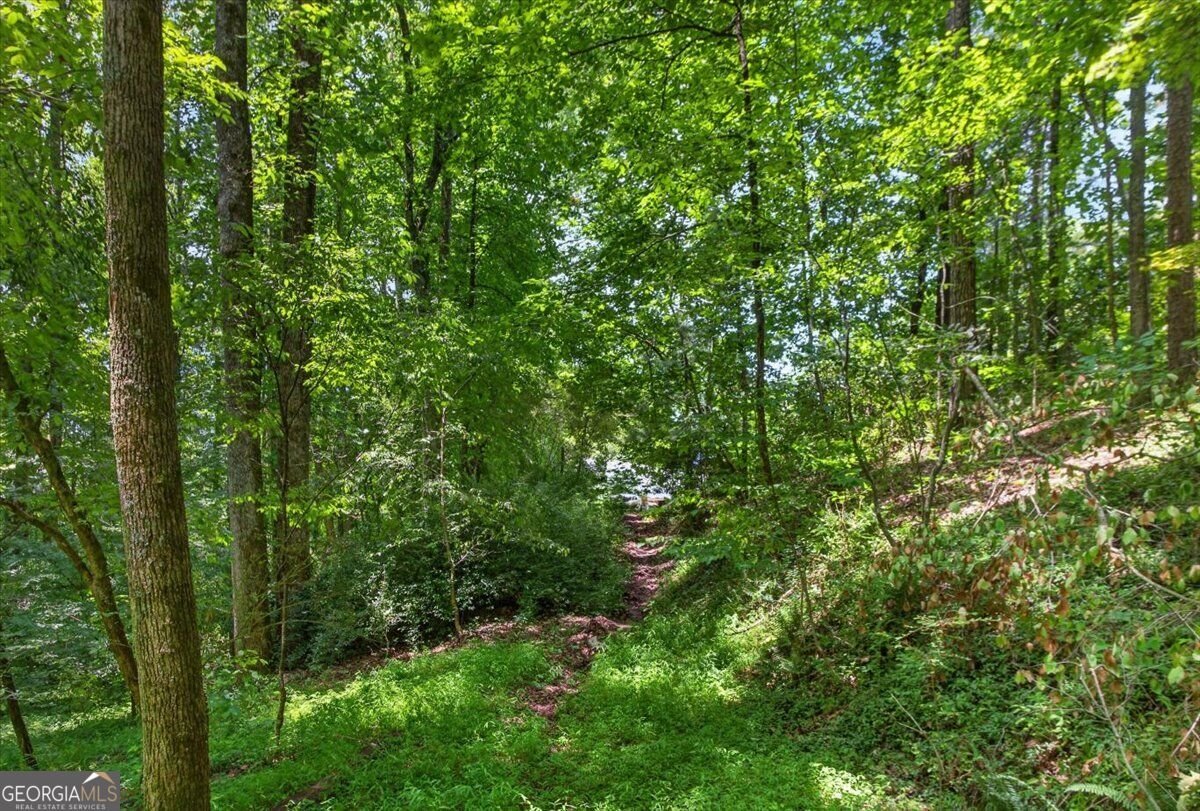 1965 Highway 52 Ellijay - Photo 25