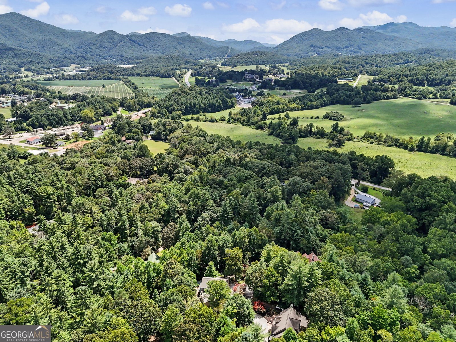 174 Bell Colony Road Dillard - Photo 84