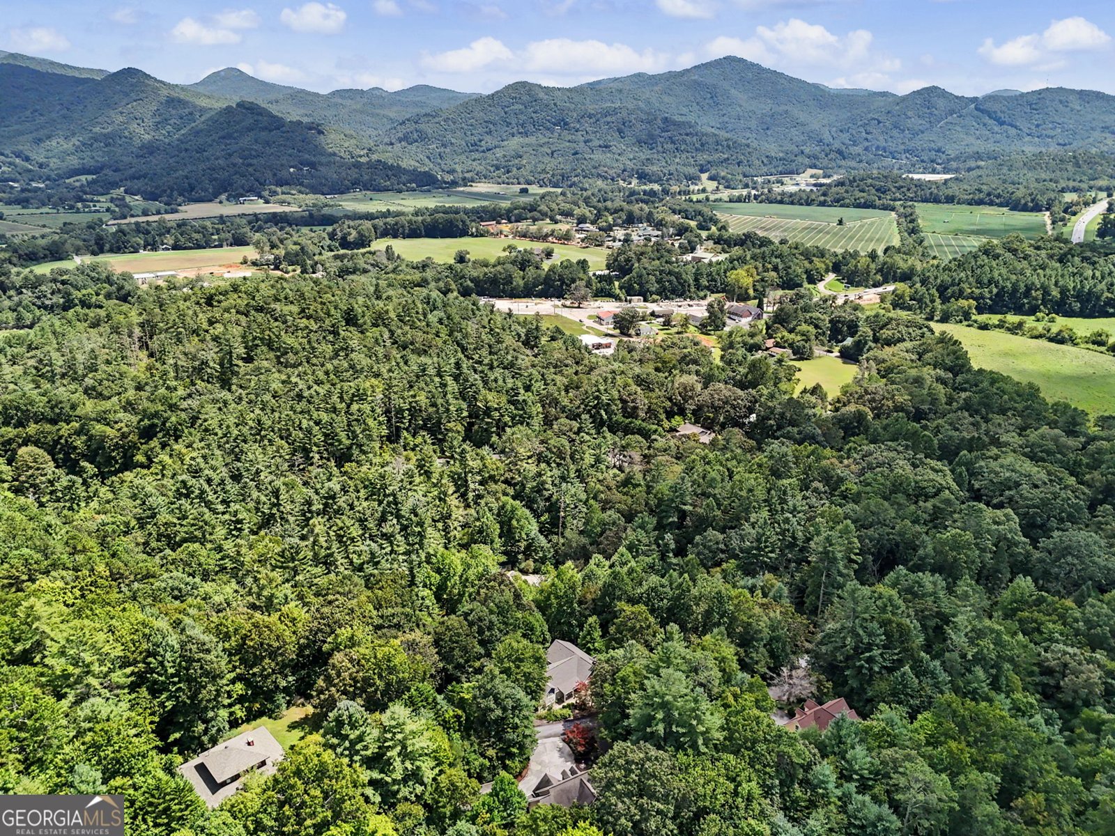 174 Bell Colony Road Dillard - Photo 85