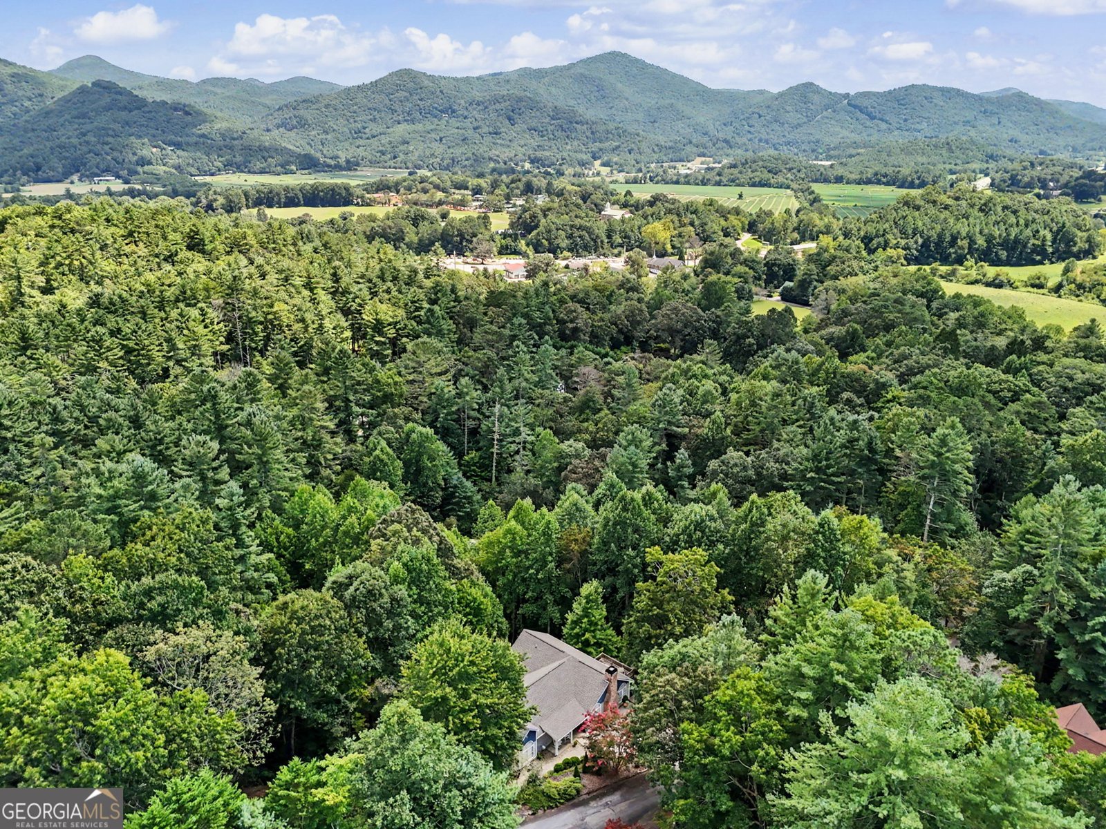 174 Bell Colony Road Dillard - Photo 86