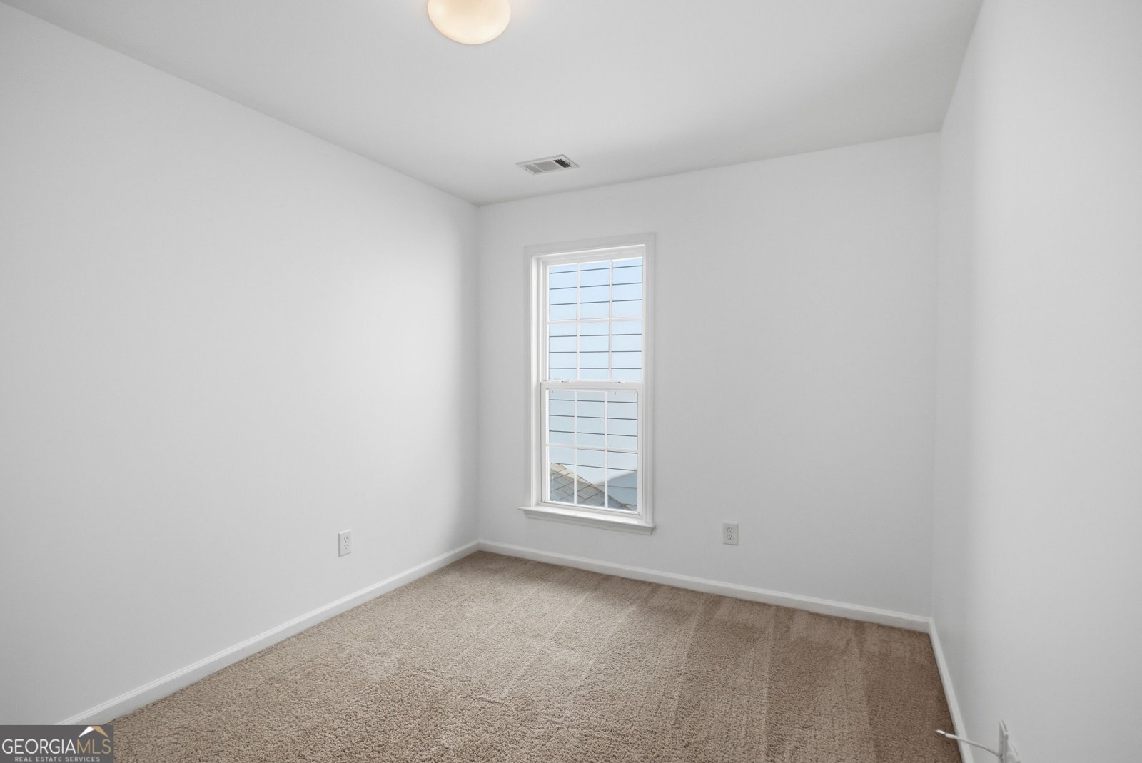 313 Balaban Circle Woodstock - Photo 18