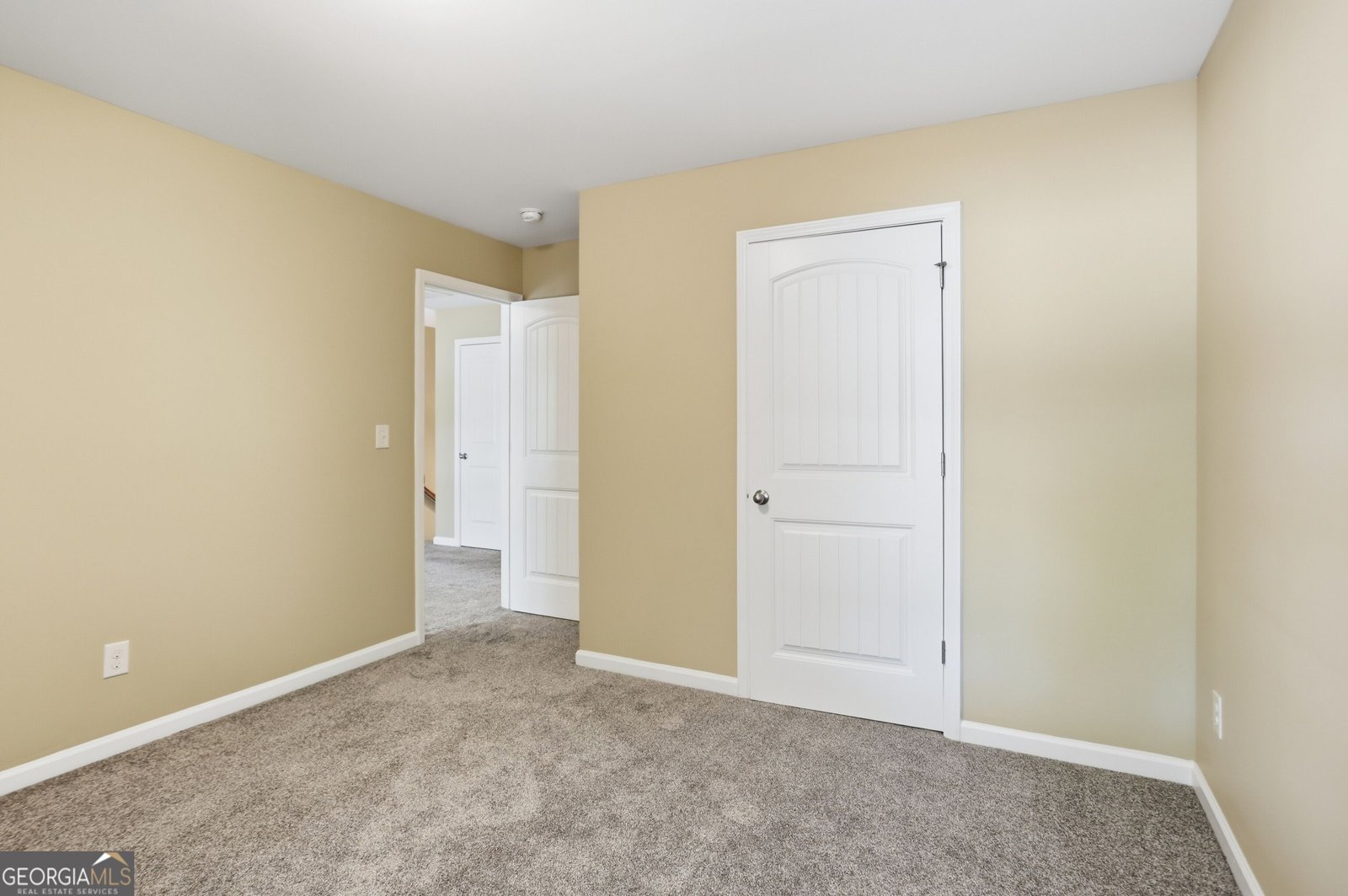 206 Providence Walk Court Canton - Photo 22
