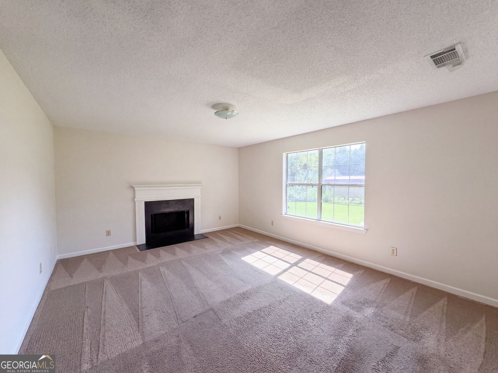3636 Mosswood Lane Rex - Photo 9