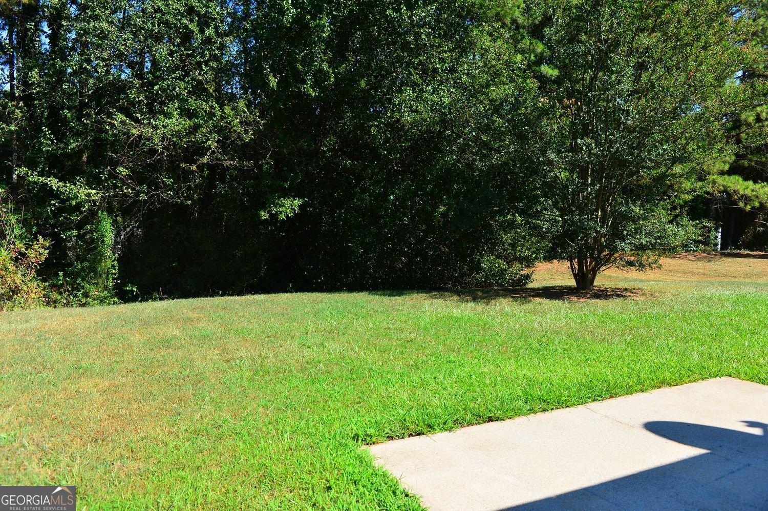 4256 Viewpoint Lane Ellenwood - Photo 12