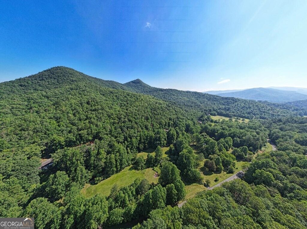 605 Owl Creek Road Hiawassee - Photo 46