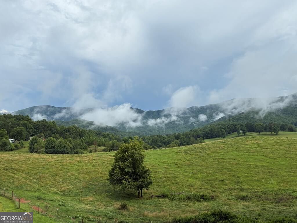 206 Bethabara Loop Hayesville - Photo 42