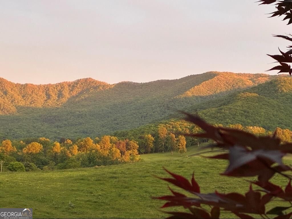 206 Bethabara Loop Hayesville - Photo 46