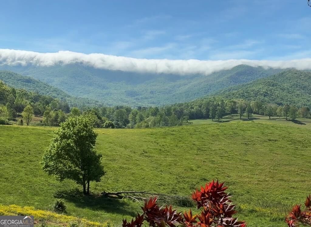 206 Bethabara Loop Hayesville - Photo 48