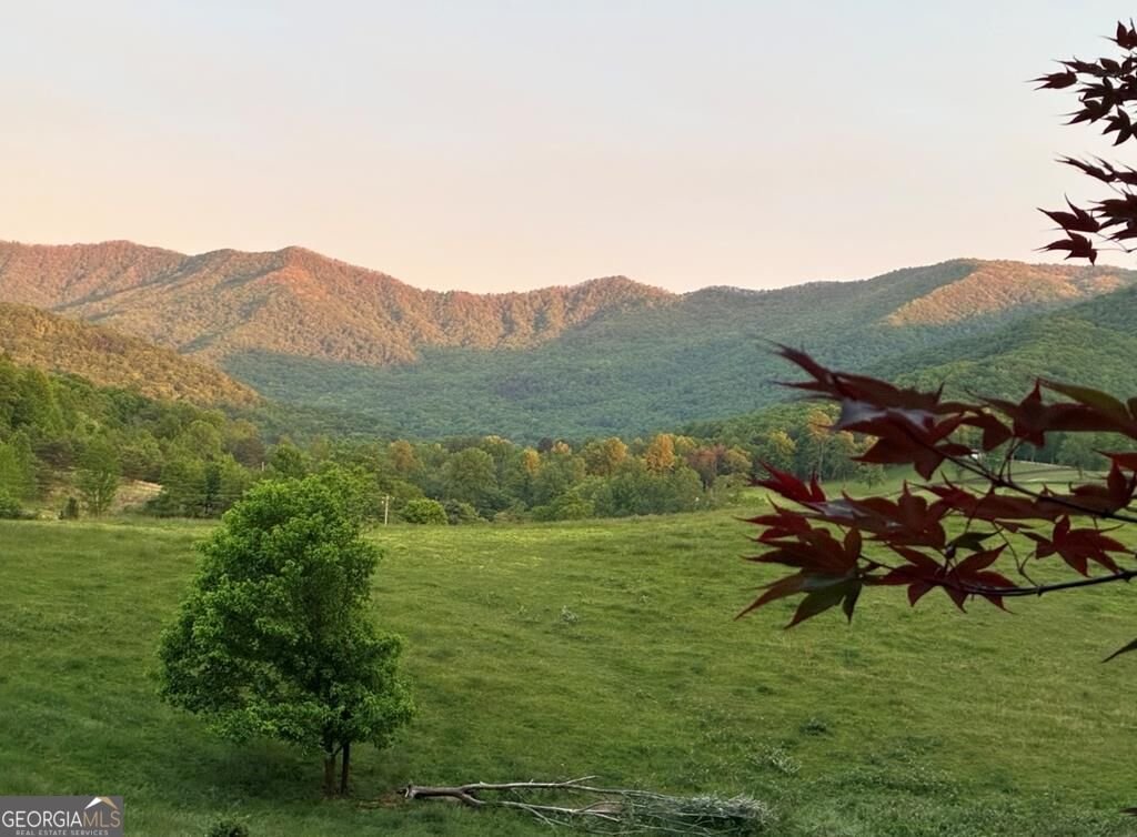 206 Bethabara Loop Hayesville - Photo 49
