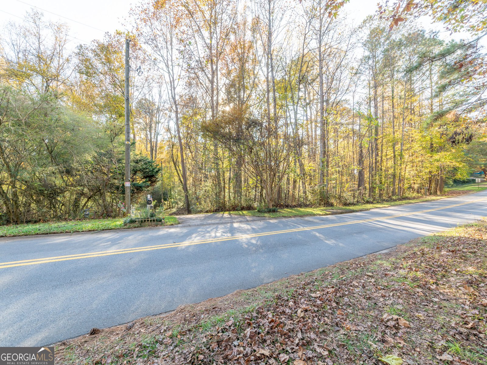479 Bradshaw Lane Canton - Photo 41