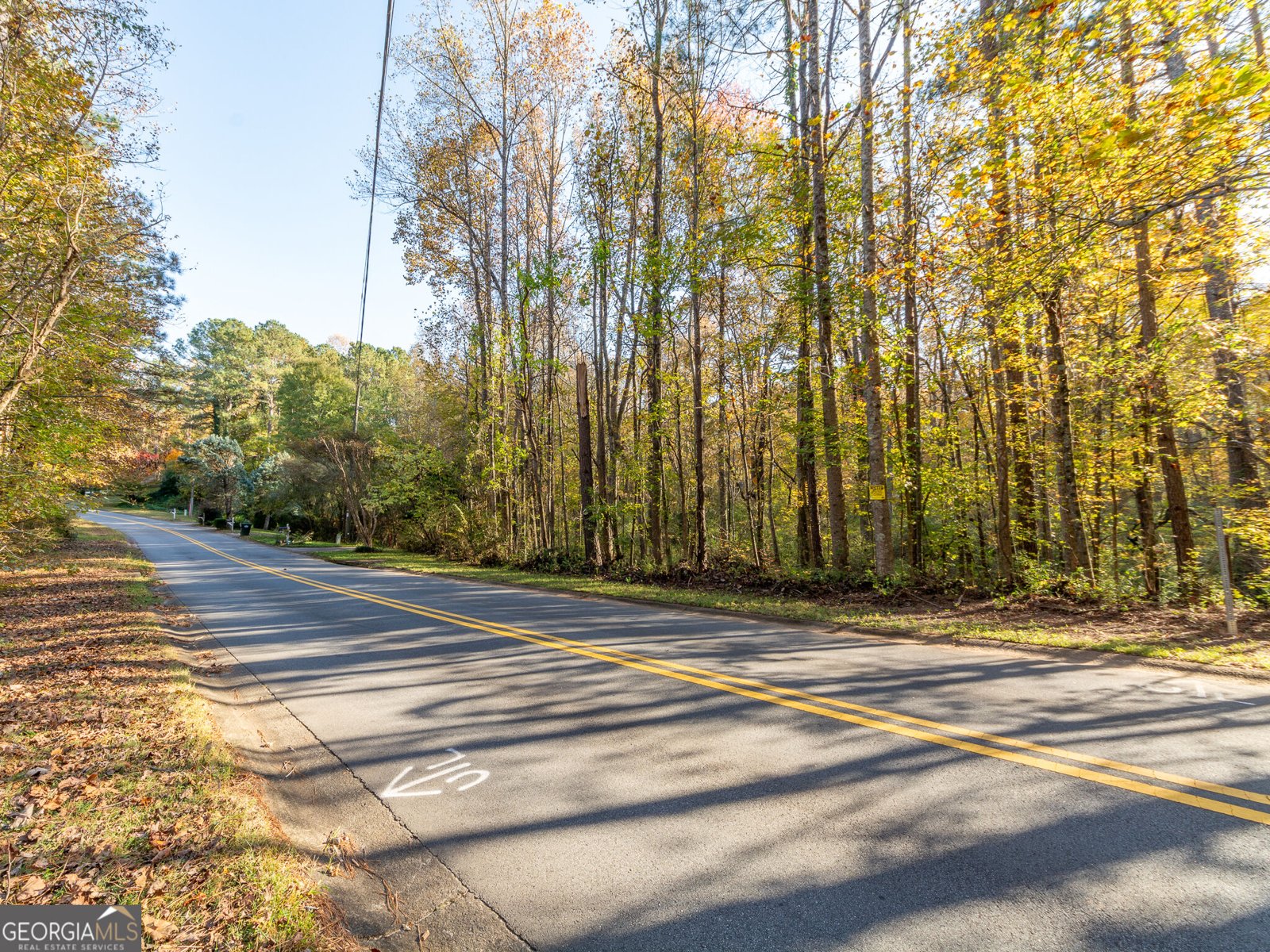 479 Bradshaw Lane Canton - Photo 42