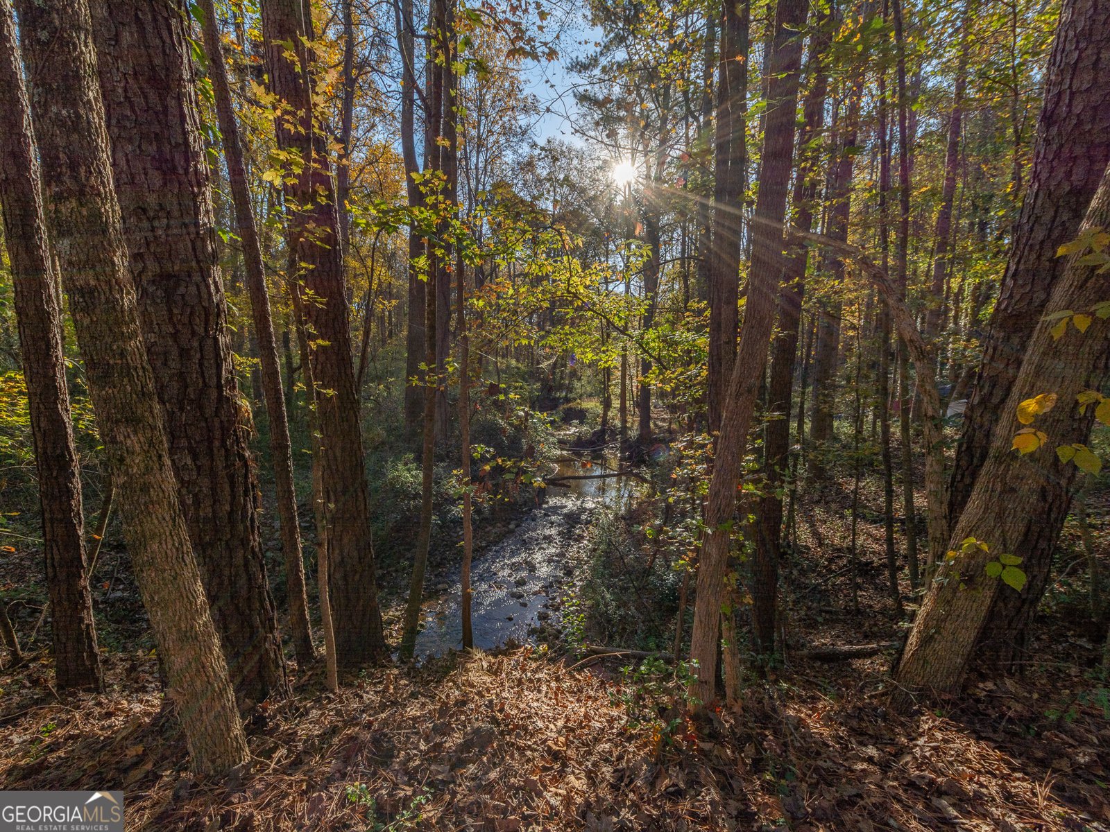479 Bradshaw Lane Canton - Photo 44