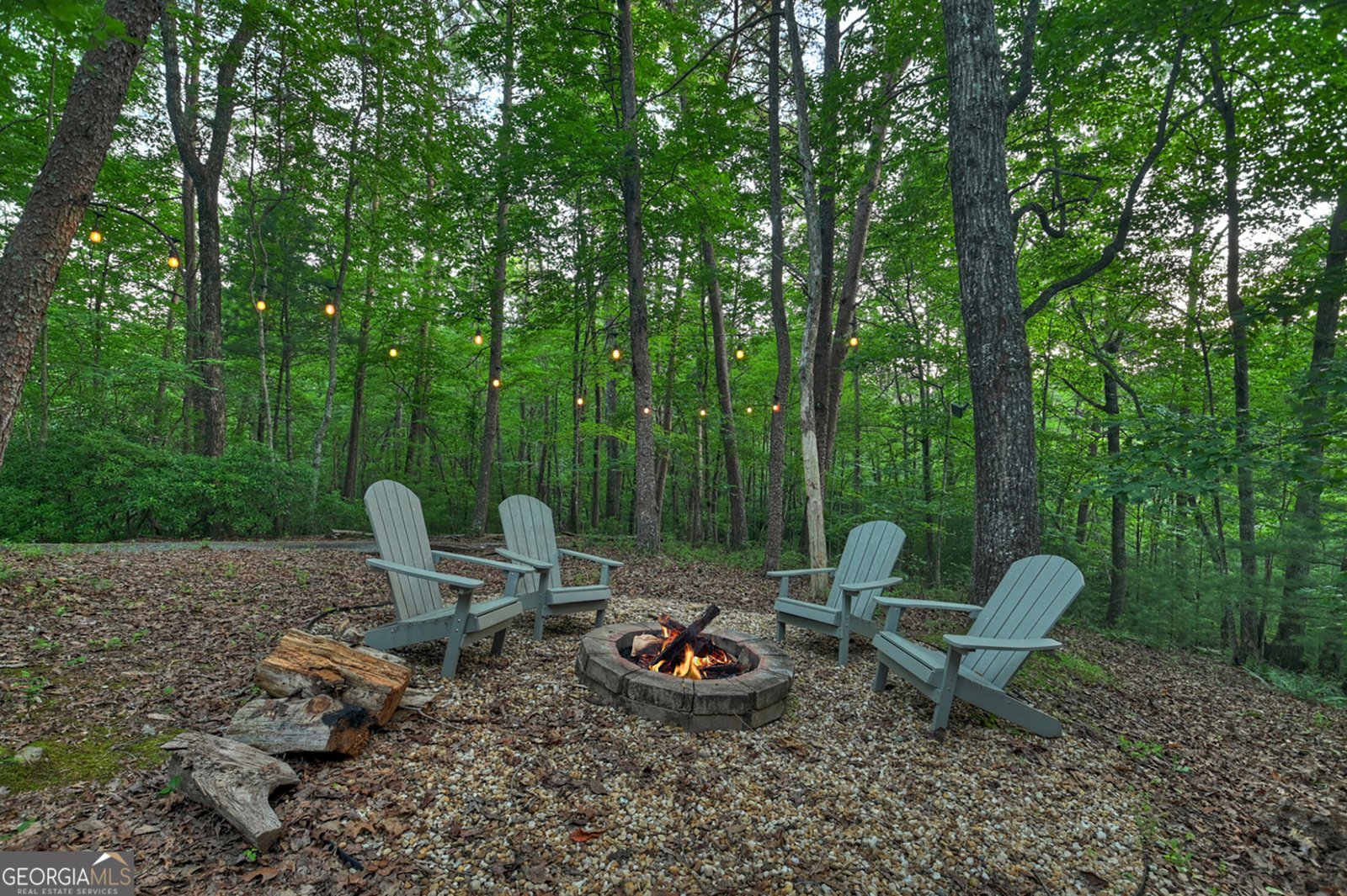 932 Granny Branch Blue Ridge - Photo 19