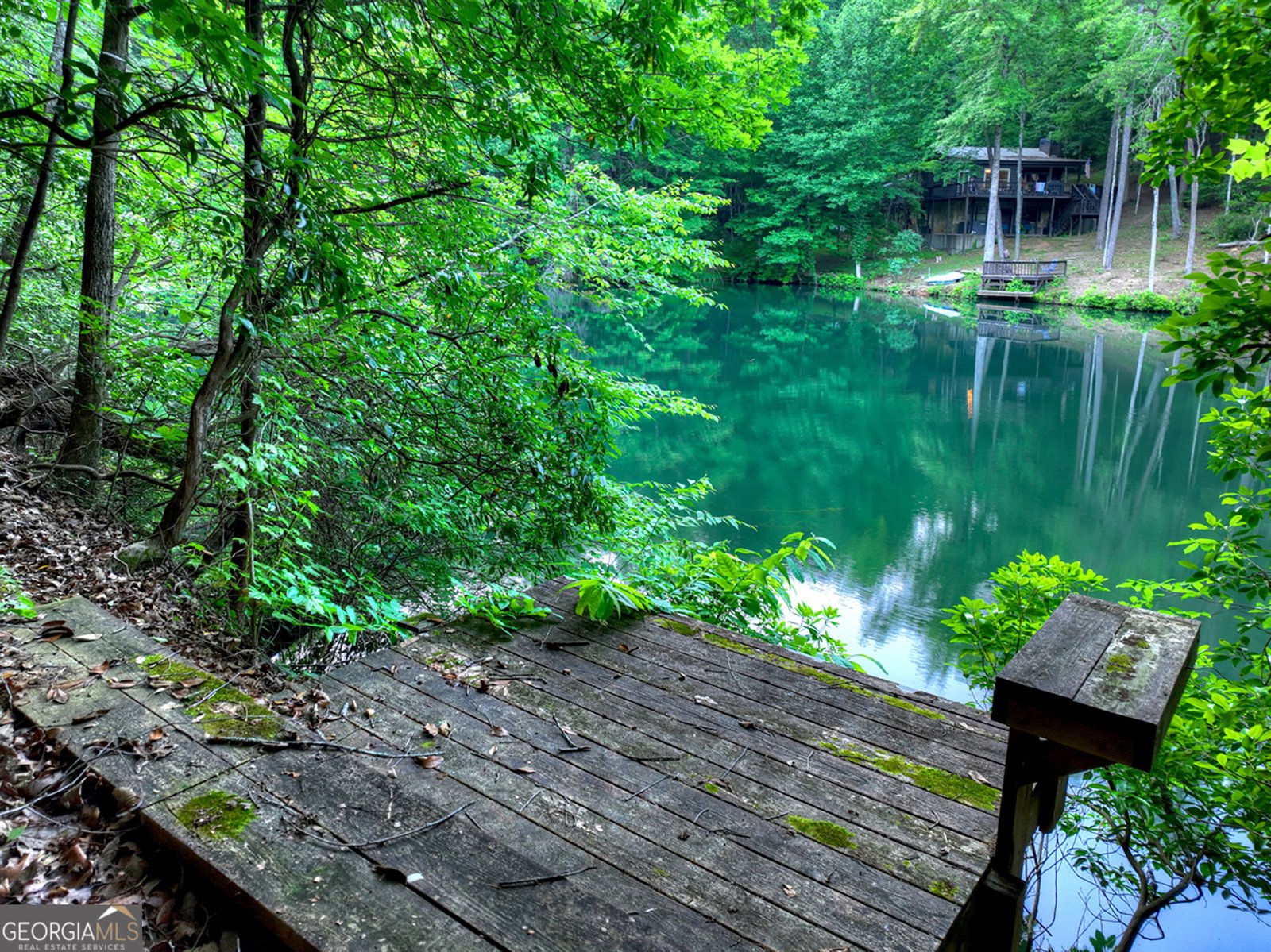 932 Granny Branch Blue Ridge - Photo 44