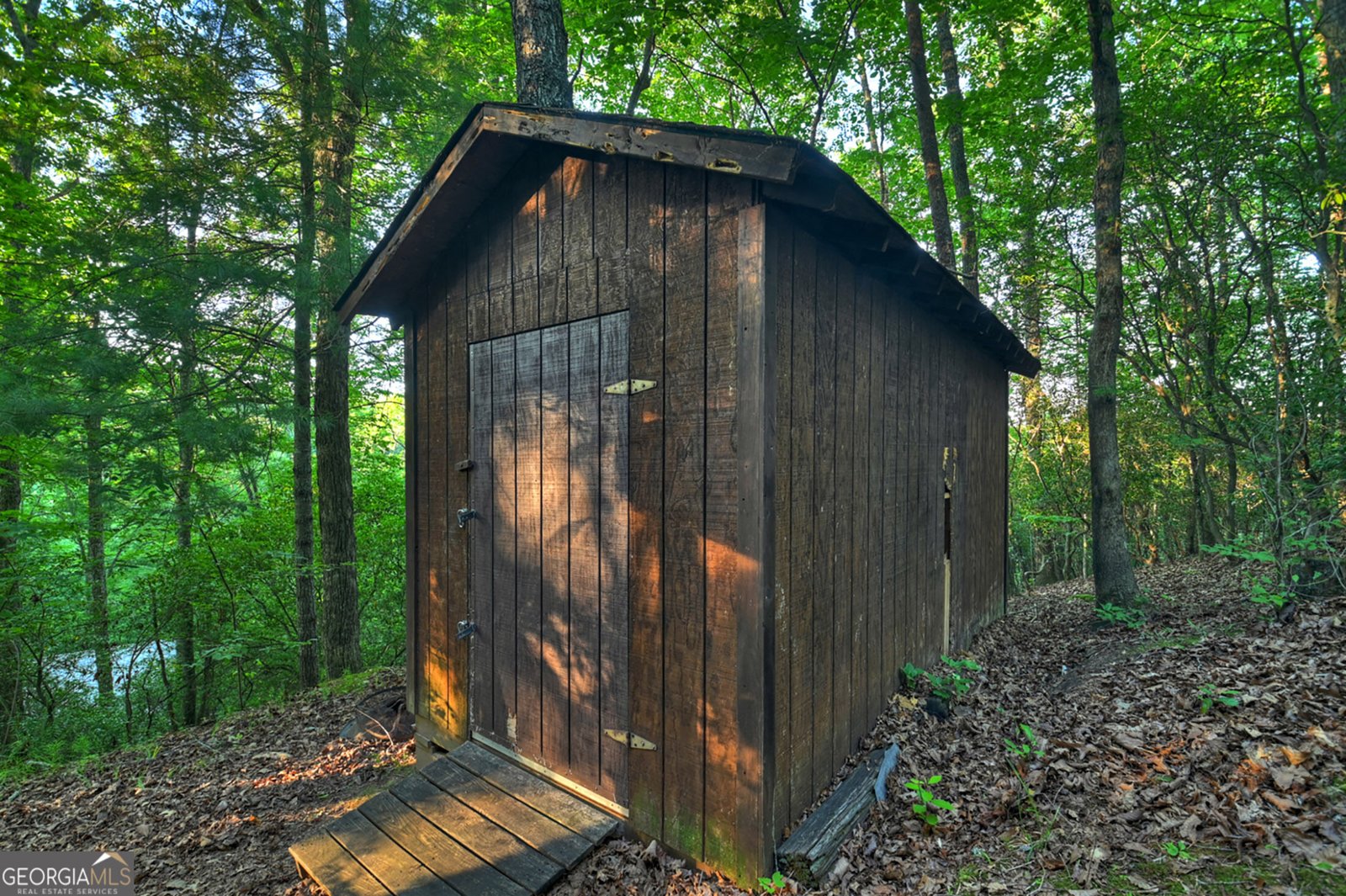 932 Granny Branch Blue Ridge - Photo 46