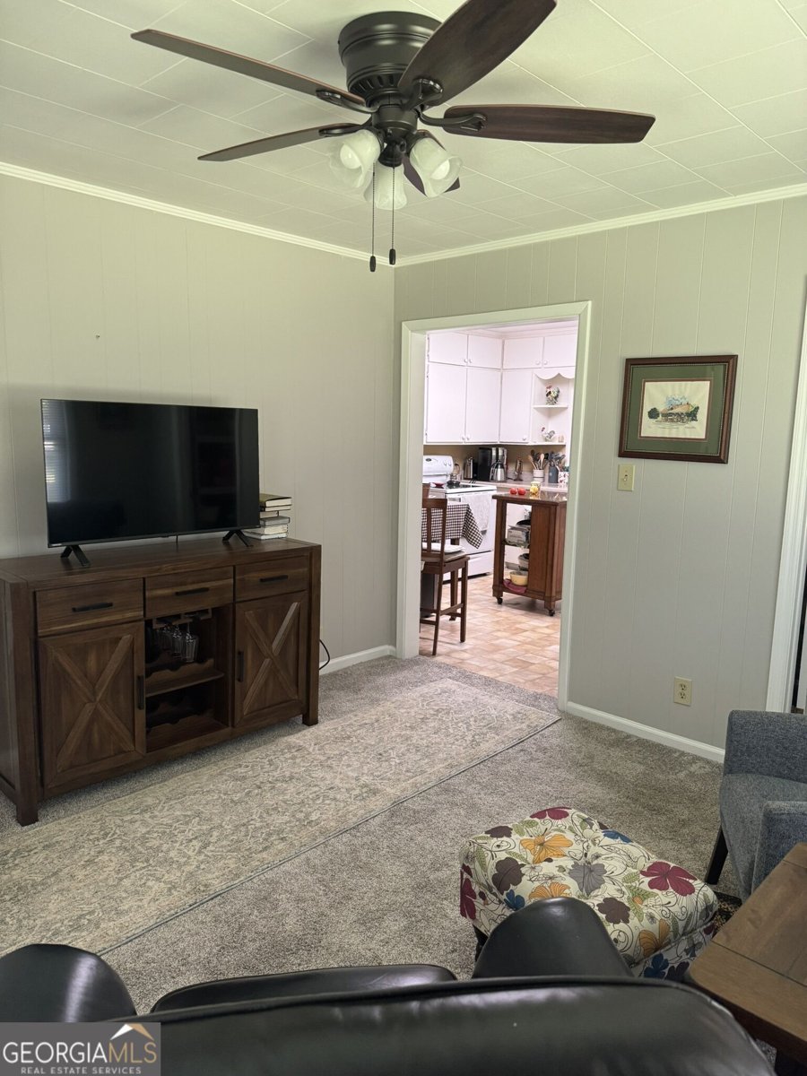 69 Buena Vista WINDER - Photo 17