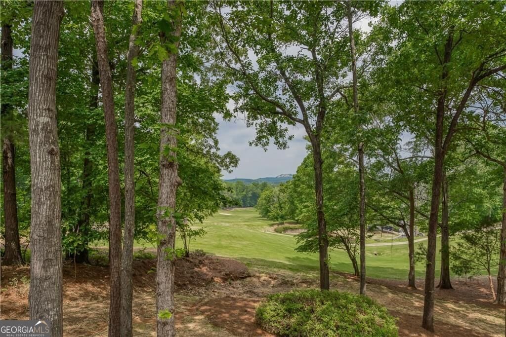 303 Broadmoor Way Mcdonough - Photo 31
