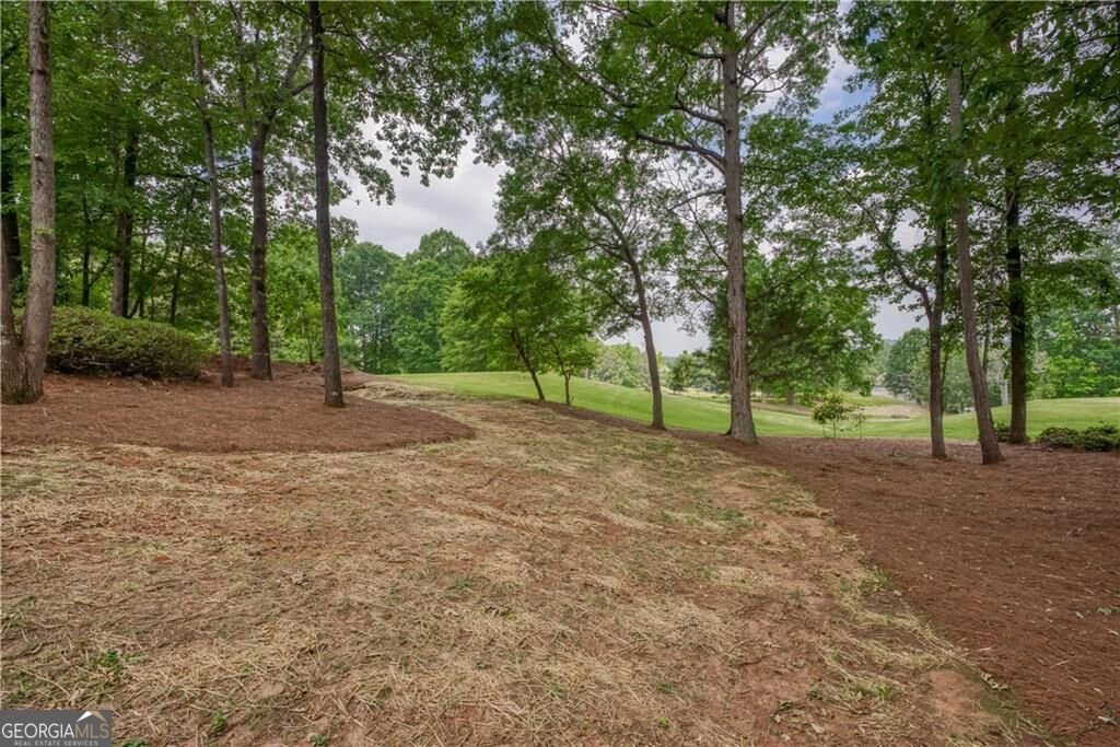 303 Broadmoor Way Mcdonough - Photo 33