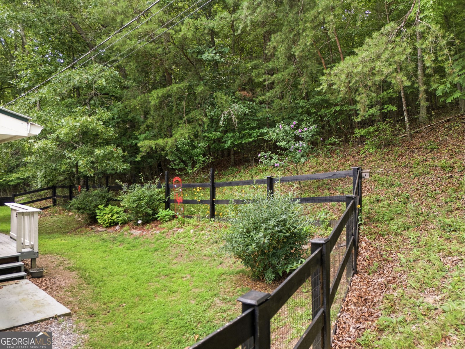 3426 Old Hwy 64 W Warne - Photo 13