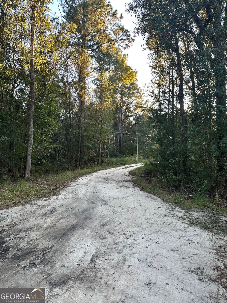 216 Skye View Drive Statesboro - Photo 33
