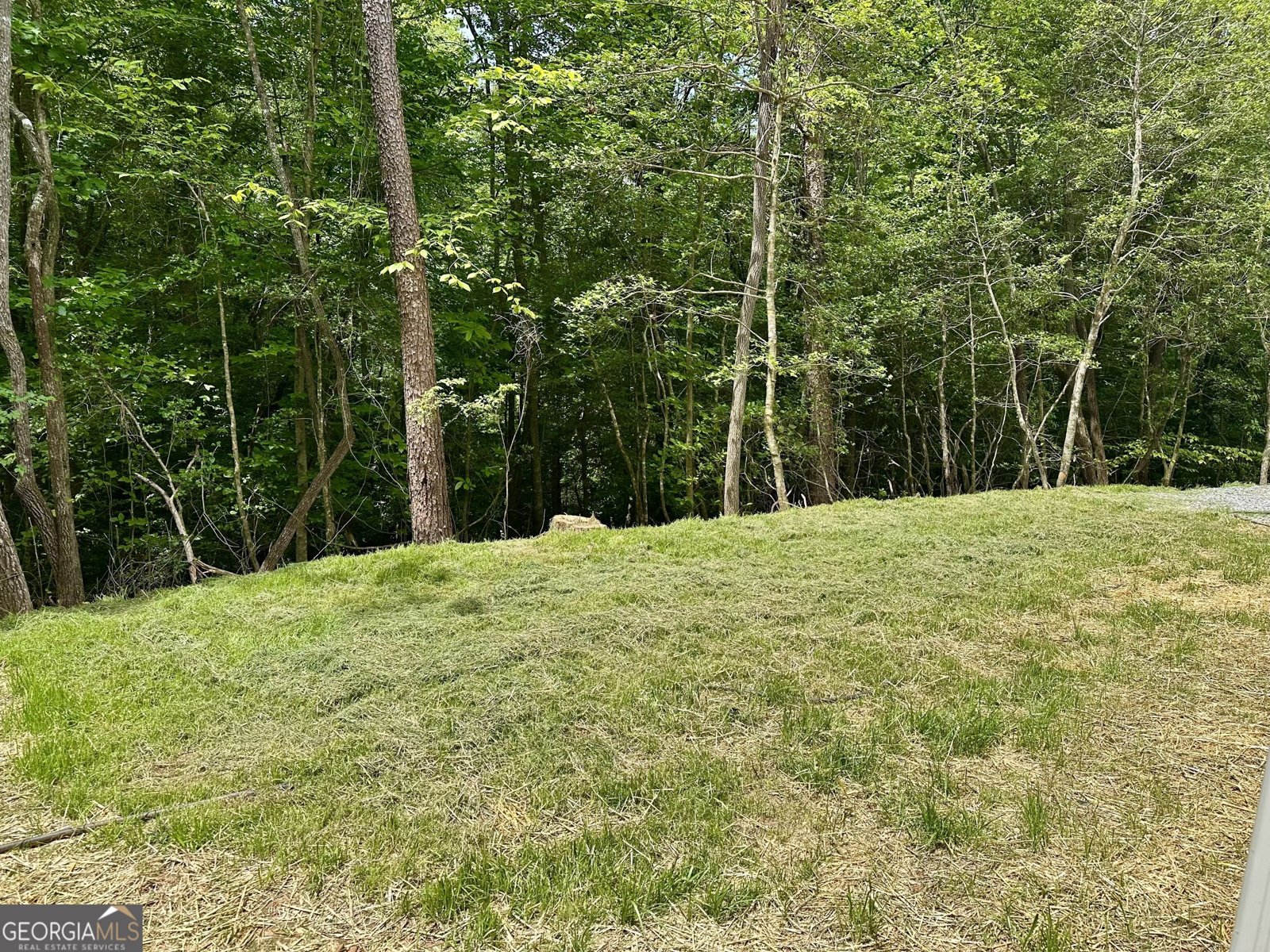 101 Sawyer Ridge Lane Hayesville - Photo 17