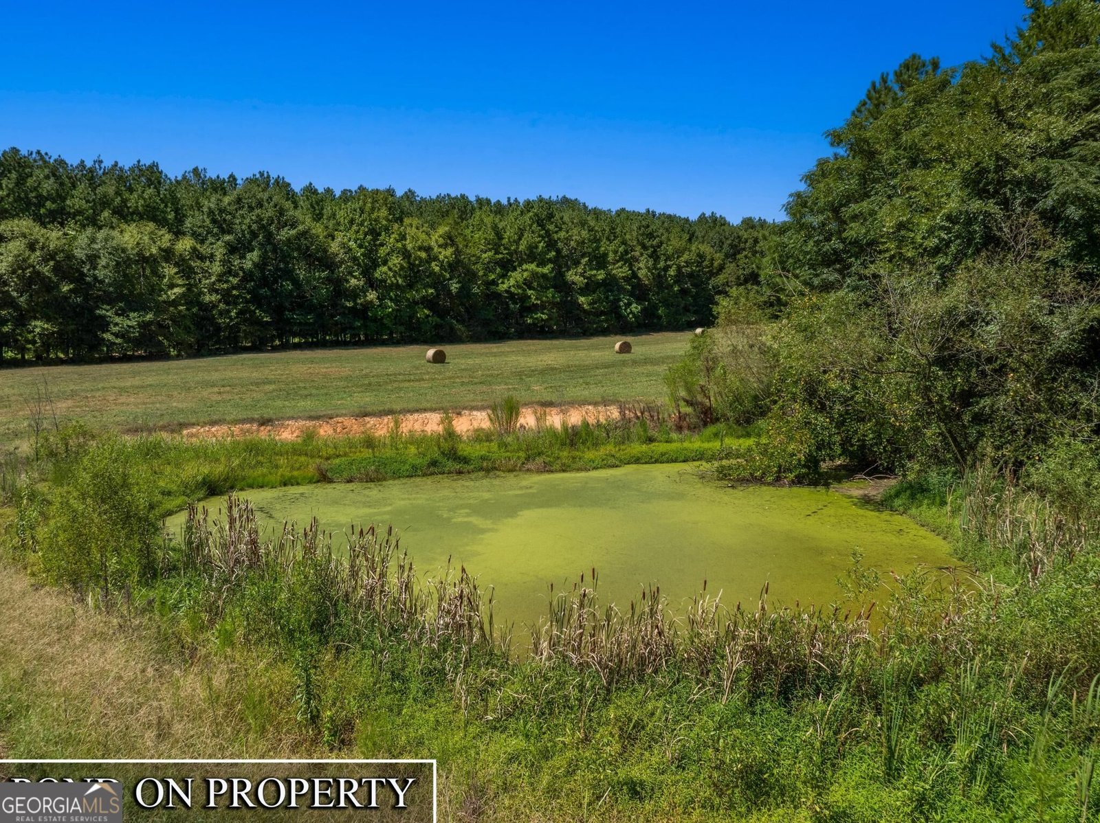 2344 Allen White Rd Elberton - Photo 37