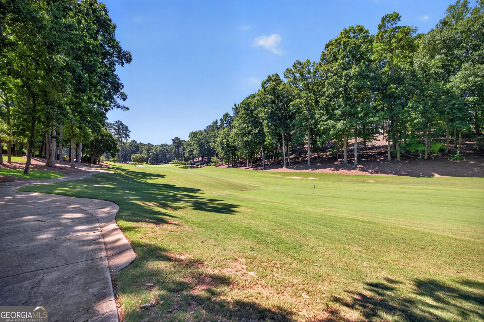 1053 Clubhouse Lane Greensboro - Photo 45