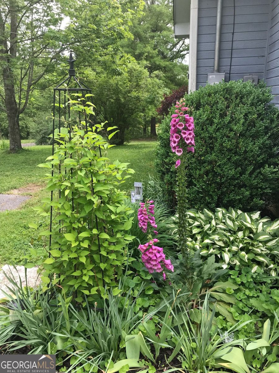 1328 Monroe Green Road Trion - Photo 48