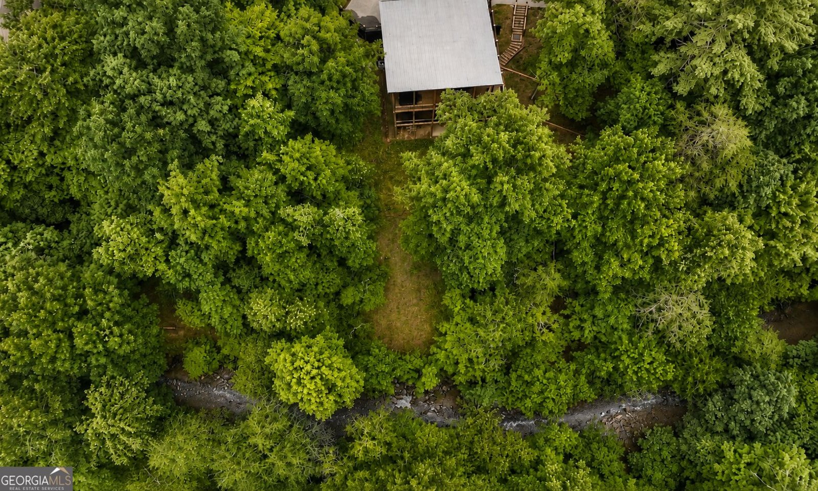 3149 Big Creek Road Cherry Log - Photo 6