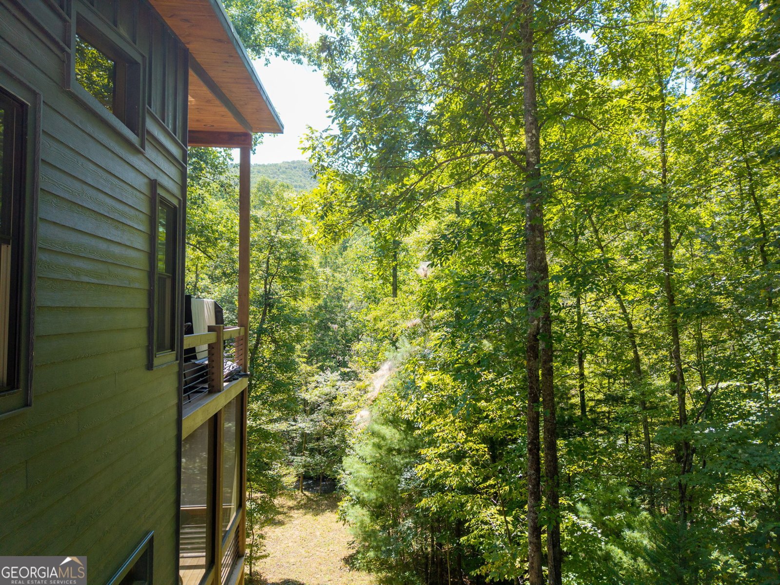 3149 Big Creek Road Cherry Log - Photo 9