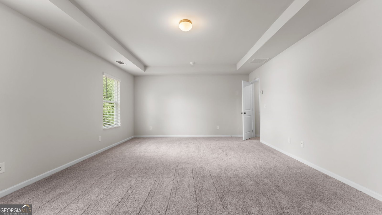 521 Hayes Lane Canton - Photo 13