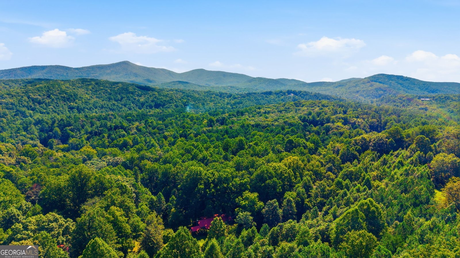 10740 Highway 197 Clarkesville - Photo 34