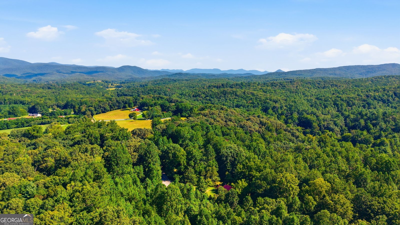 10740 Highway 197 Clarkesville - Photo 35