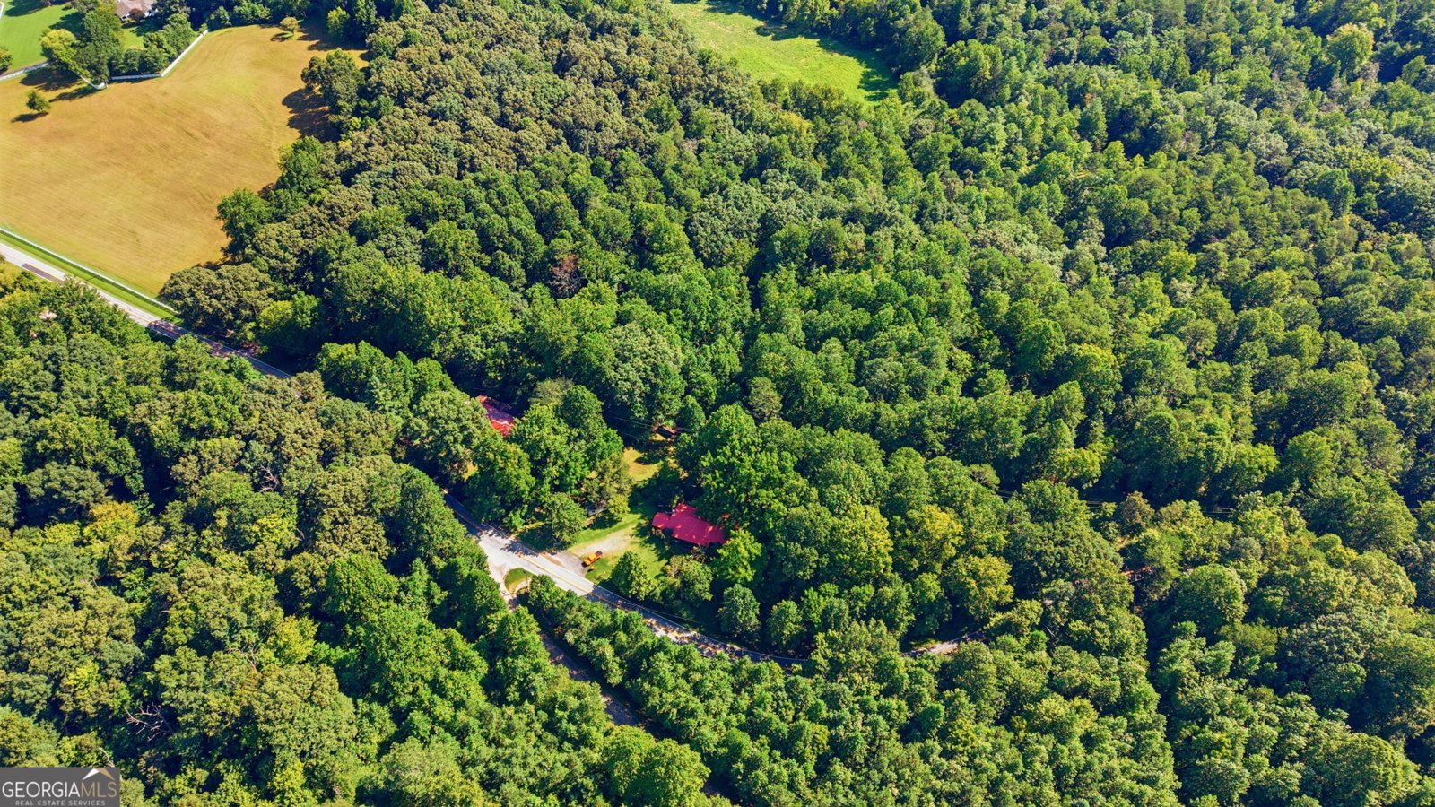 10740 Highway 197 Clarkesville - Photo 37