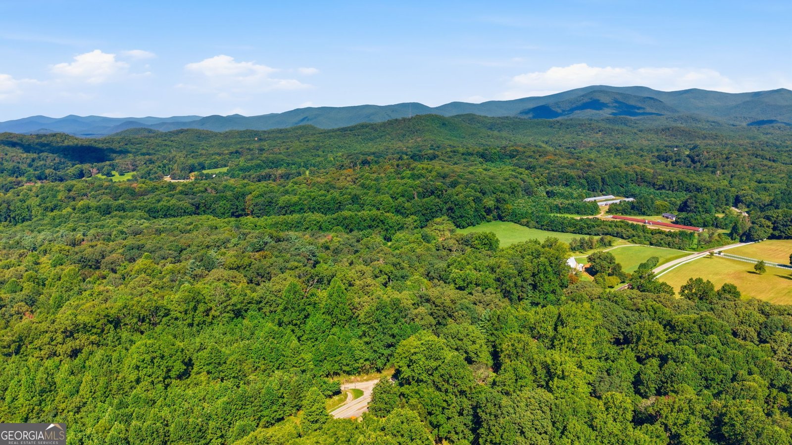 10740 Highway 197 Clarkesville - Photo 39