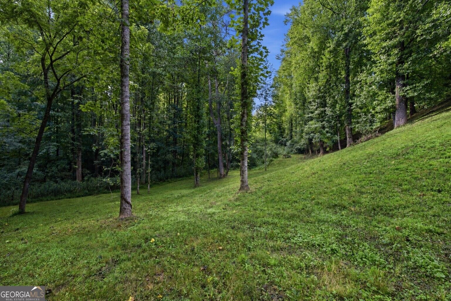 10740 Highway 197 Clarkesville - Photo 8
