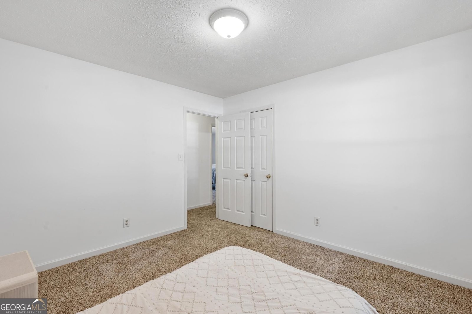 45 Boxwood Court McDonough - Photo 28