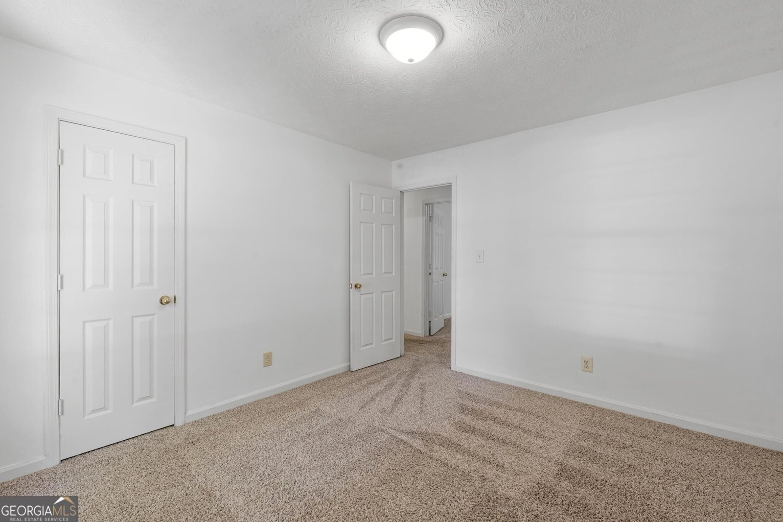 45 Boxwood Court McDonough - Photo 29
