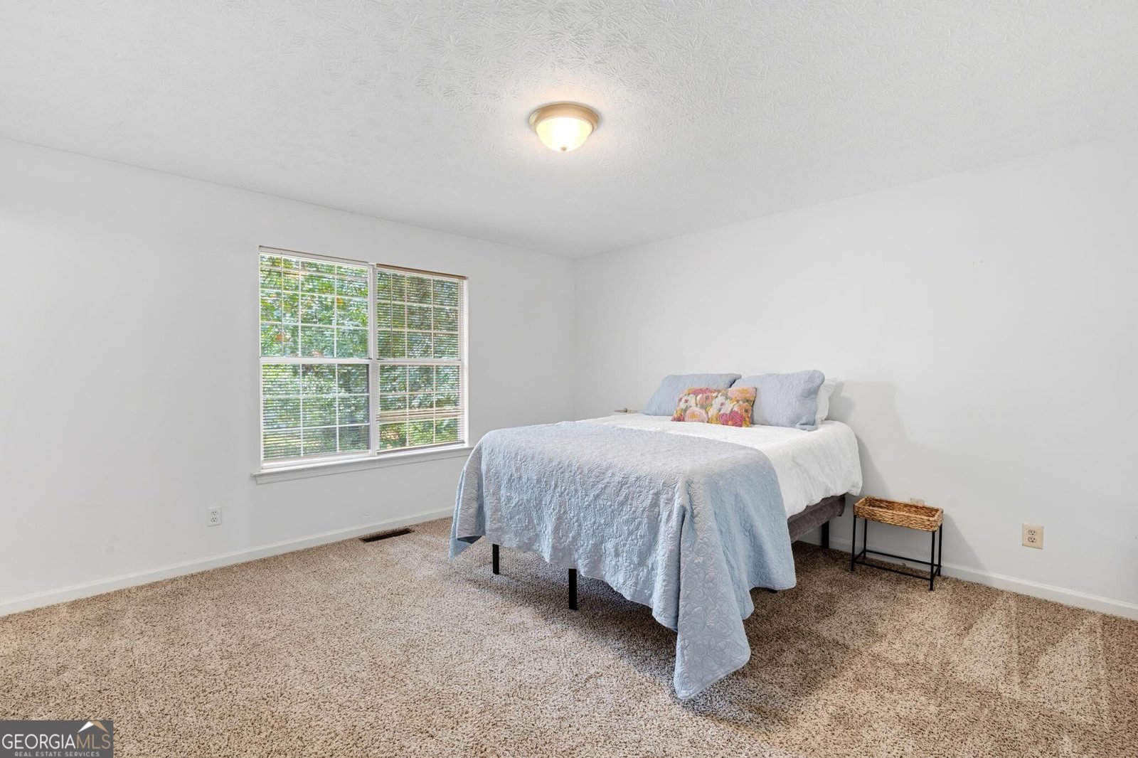 45 Boxwood Court McDonough - Photo 30