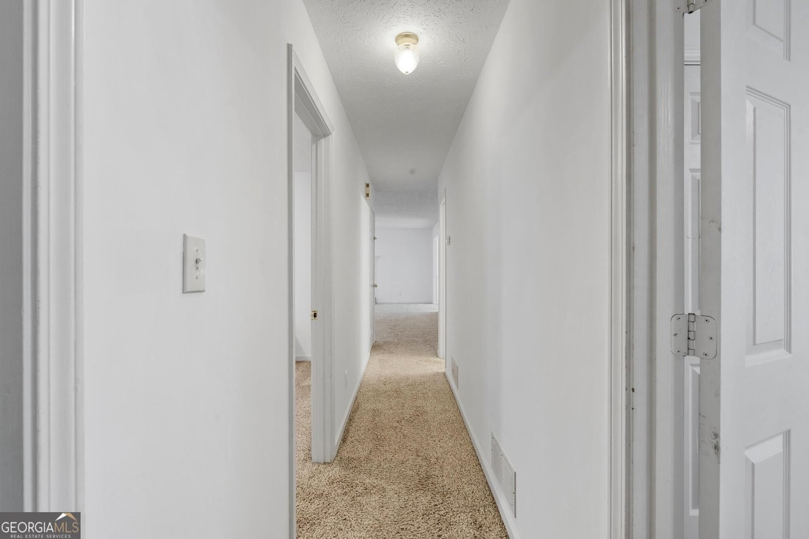 45 Boxwood Court McDonough - Photo 34