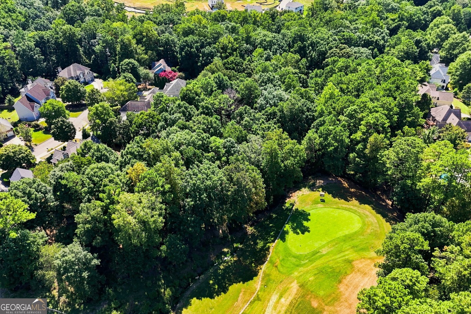 520 Chestnut Walk Canton - Photo 81