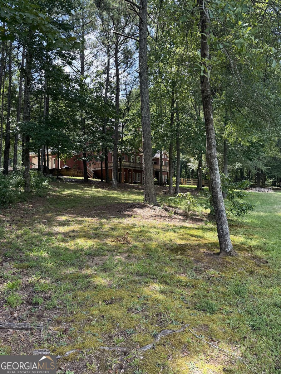 1917 Al Roberts Road Senoia - Photo 18