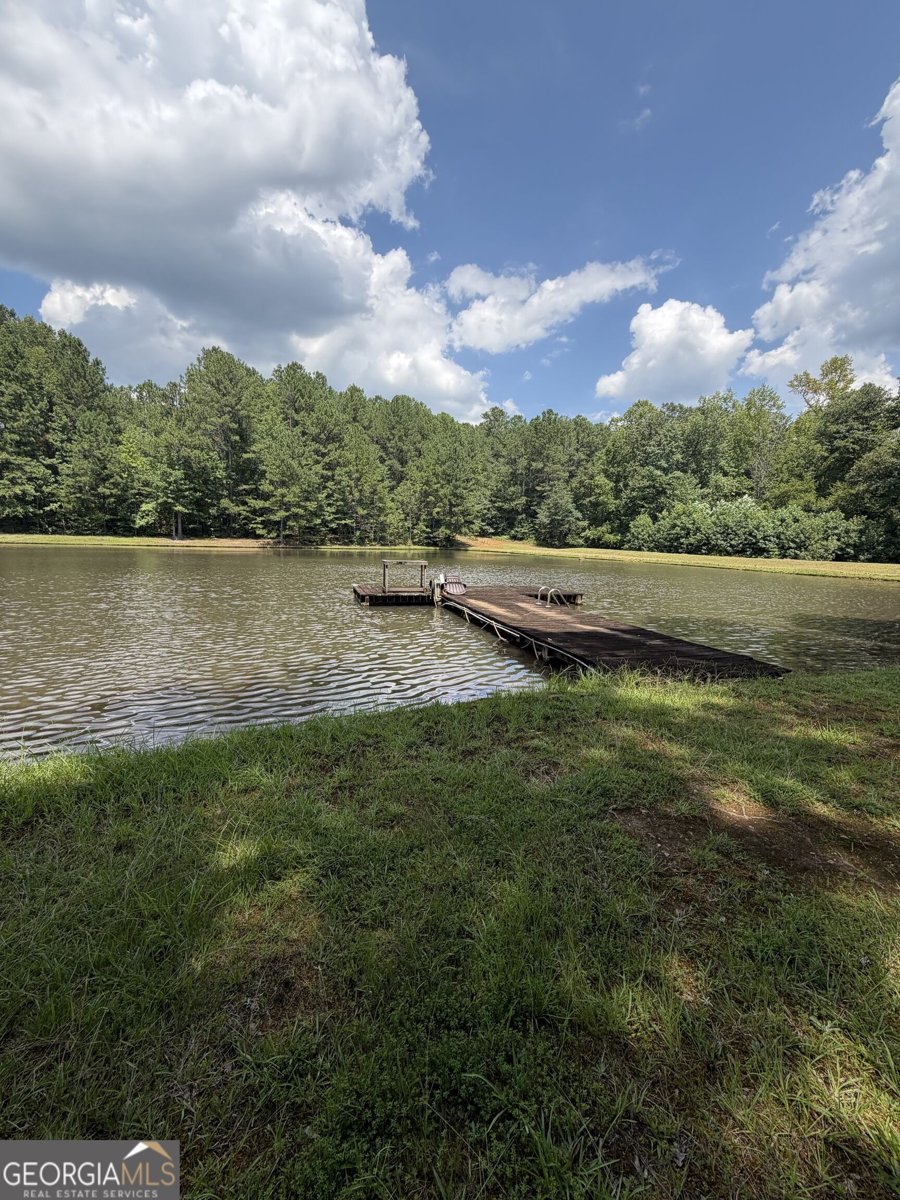 1917 Al Roberts Road Senoia - Photo 19