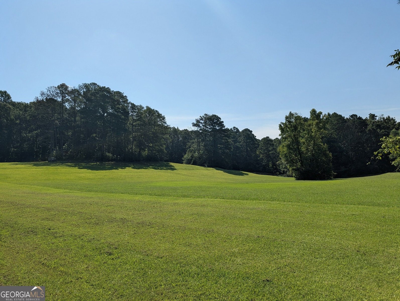 479 Jim Starr Road Newnan - Photo 49