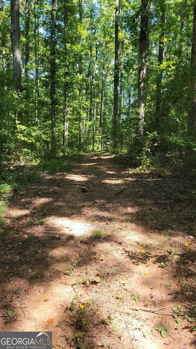 479 Jim Starr Road Newnan - Photo 50